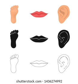 Vector illustration of body and part logo. Collection of body and anatomy stock vector illustration.