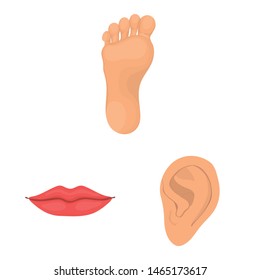 Vector illustration of body and part logo. Collection of body and anatomy stock symbol for web.