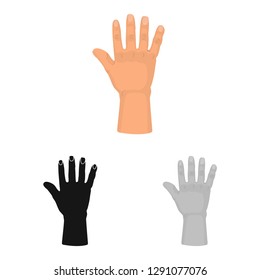 Vector illustration of body and part sign. Set of body and anatomy vector icon for stock.