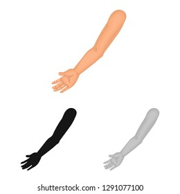 Vector illustration of body and part sign. Collection of body and anatomy vector icon for stock.