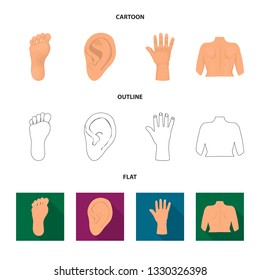 Vector illustration of body and part sign. Set of body and anatomy stock vector illustration.