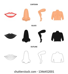 Vector illustration of body and part sign. Collection of body and anatomy vector icon for stock.