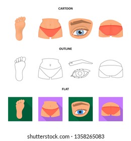 Vector illustration of body and part sign. Set of body and anatomy vector icon for stock.