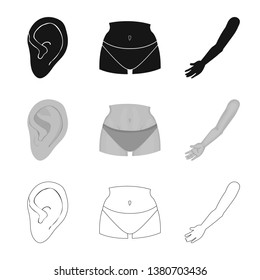 Vector illustration of body and part sign. Collection of body and anatomy vector icon for stock.