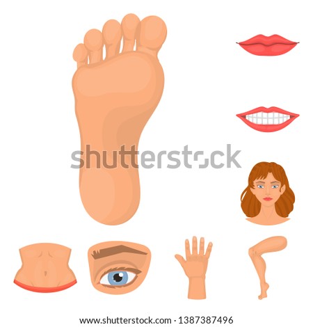 Vector illustration of body and part sign. Set of body and anatomy stock symbol for web.