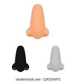 Vector illustration of body and part symbol. Collection of body and anatomy stock vector illustration.
