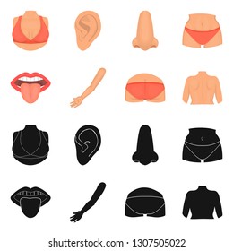 Vector illustration of body and part symbol. Collection of body and anatomy stock vector illustration.