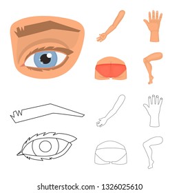 Vector illustration of body and part symbol. Collection of body and anatomy stock vector illustration.