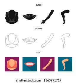 Vector illustration of body and part symbol. Set of body and anatomy stock vector illustration.
