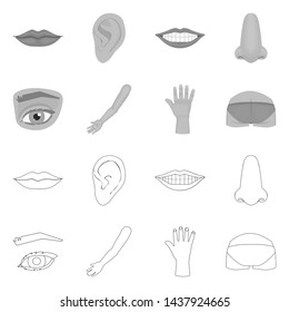 Vector illustration of body and part symbol. Set of body and anatomy vector icon for stock.