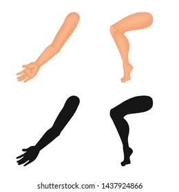 Vector illustration of body and part symbol. Set of body and anatomy vector icon for stock.