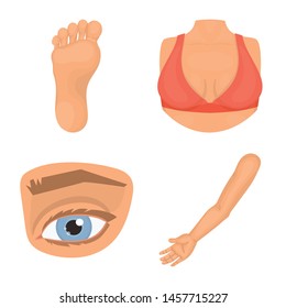 Vector illustration of body and part symbol. Collection of body and anatomy stock symbol for web.