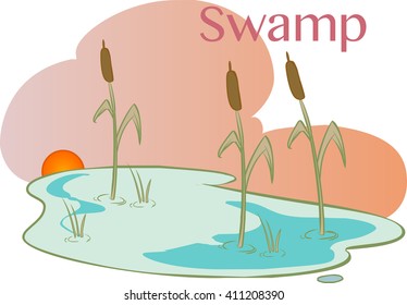 vector Illustration of a  Bog