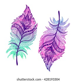 vector illustration of Boho feathers. 