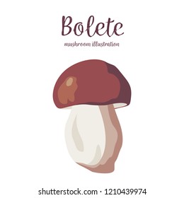 Vector illustration of Bolete mushroom. Icon of mushroom with lettering.