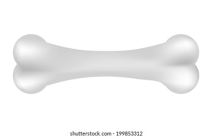 Vector illustration of bone