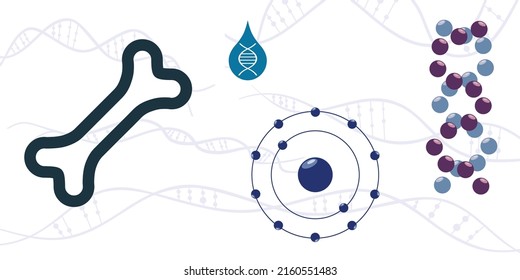 vector illustration of bone diseases and problems with molecular and DNA studies