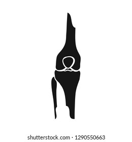 Vector illustration of bone and skeleton icon. Set of bone and human stock vector illustration.