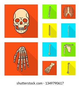 Vector illustration of bone and skeleton icon. Set of bone and human stock vector illustration.