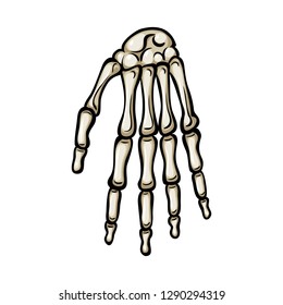 Vector illustration of bone and skeleton logo. Collection of bone and human stock vector illustration.