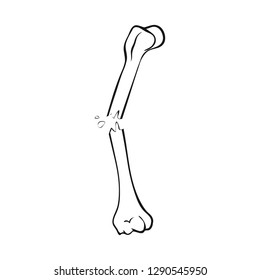 Vector illustration of bone and skeleton sign. Collection of bone and human stock symbol for web.