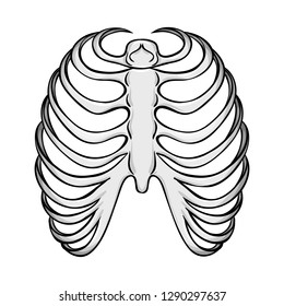 Vector illustration of bone and skeleton symbol. Set of bone and human stock vector illustration.
