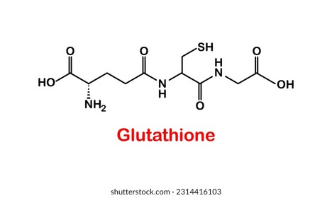 Vector illustration of the bone structural formula of Glutathione (reduced glutathione, GSH), endogenous antioxidant molecule on white background.