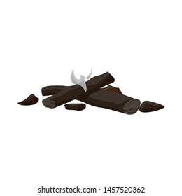 Vector illustration of bonfire and smoke symbol. Collection of bonfire and fuel vector icon for stock.