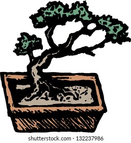 Vector illustration of a bonsai tree
