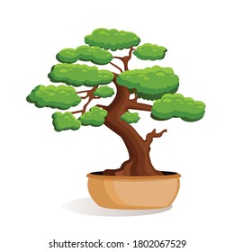 Vector illustration of bonsai tree in a pot on a white isolated background. Home miniature bonsai plant. Illustration for advertising, website, logo, banner, postcard, game, menu, application.