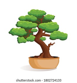 Vector illustration of bonsai tree in a pot on a white isolated background. Home miniature bonsai plant. Illustration for advertising, website, logo, banner, postcard, game, menu, application.