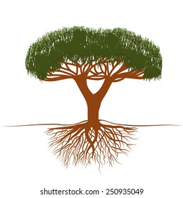 vector illustration bonsai tree with roots