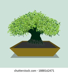 Vector illustration of bonsai tree. Simple art. 