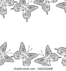 
vector illustration border butterfly coloring on a white background