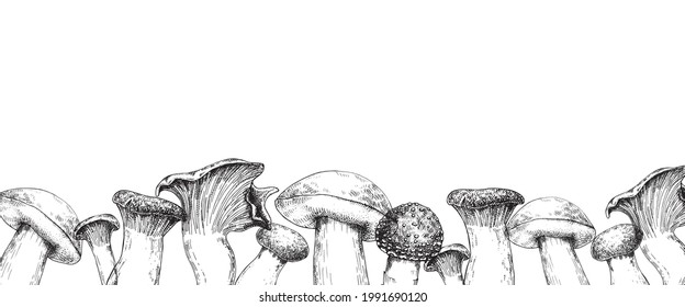 vector illustration, border with mushrooms. mushrooms drawn in vintage style, graphics isolated on white background