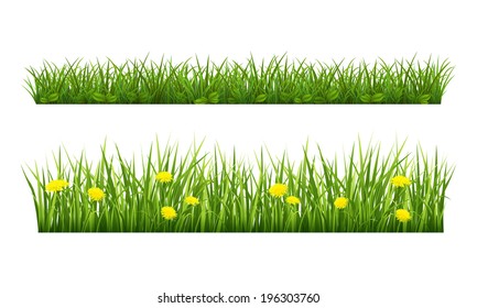 Vector illustration borders of grass on a white background