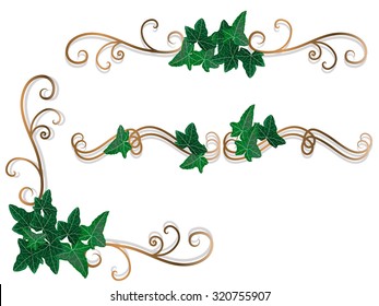 Vector illustration of borders with ivy leaves