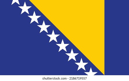 vector illustration of Bosnia flag.