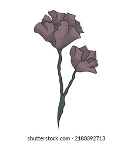 Vector illustration botanic dry plant with dark leaves for halloween, decoration for fairy tale books, notebooks, scrapbook design, game icons.