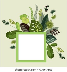 Vector illustration of a botanical composition of a variety of tropical leaves and grass adorn the frame copy space in retro style