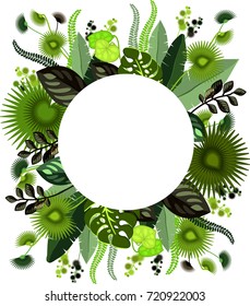 Vector illustration of a botanical composition of various tropical leaves decorate a copy space frame isolated on a white background