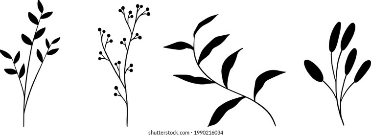 Vector illustration with botanical elements isolated on white background 