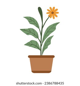 vector illustration of botanical flower pot