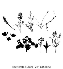 Vektor-Illustration der botanischen Blatt Natur Silhouette isoliert auf einem weißen Hintergrund