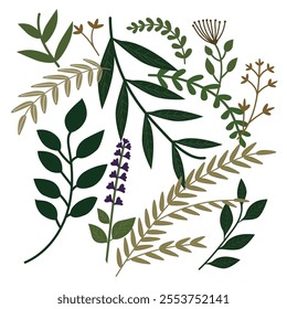 Vector illustration of botanical leaves and branches in natural tones. Perfect for invitations, greeting cards, posters, and nature-inspired designs. Minimalist and elegant style for versatile use.