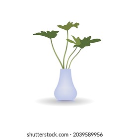 vector illustration of a botanical in a pot. isolated white background