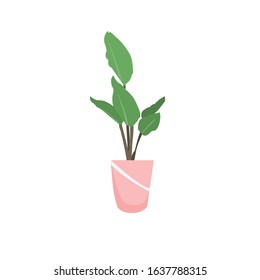 Vector illustration of botanical pot plants - Vector isolated icons illustration
