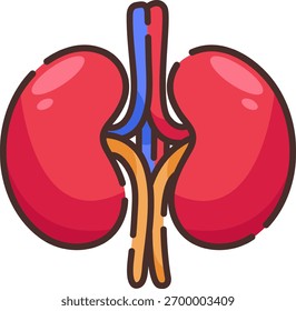 Ilustración vectorial de ambos riñones conectados por uréter y vasos sanguíneos, que representa la salud renal, el estudio médico y la anatomía humana