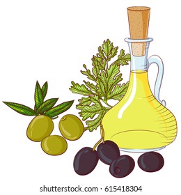 Vector illustration of bottle jug of olive oil and olives with leaves isolated on white. Healthy cooking. Food Icon. Design for cookbook, restaurant business, organic shop. 