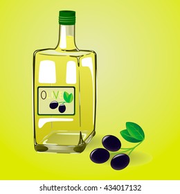 vector illustration bottle of olive oil with olives